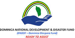 DNDDF Logo_250px